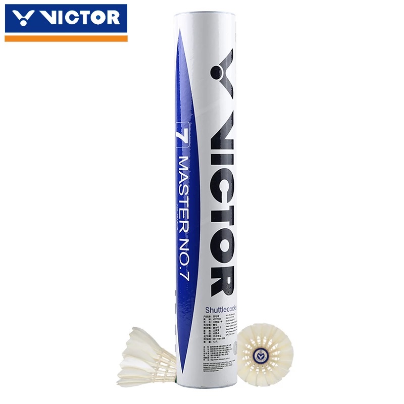 synergy badminton court