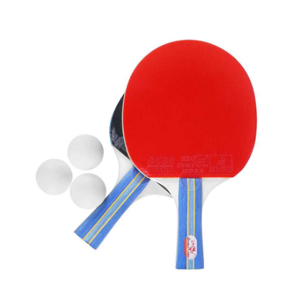 Double Fish Table tennis bats Sets (316A) – SYNERGY SPORTS