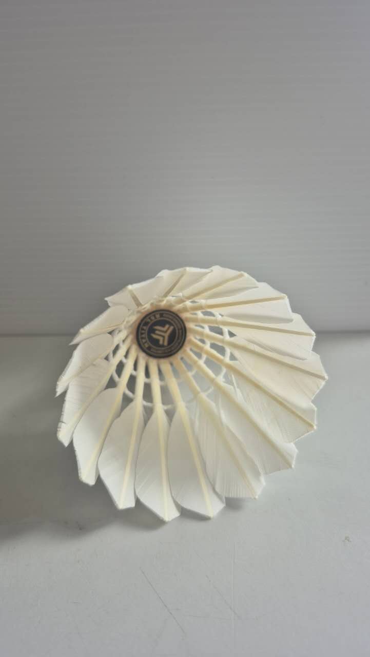 Image_20260116173338_7577_216