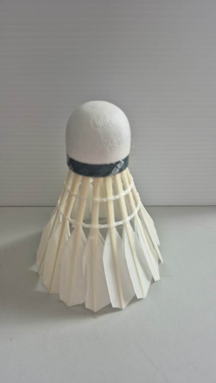 Image_20260116173339_7578_216