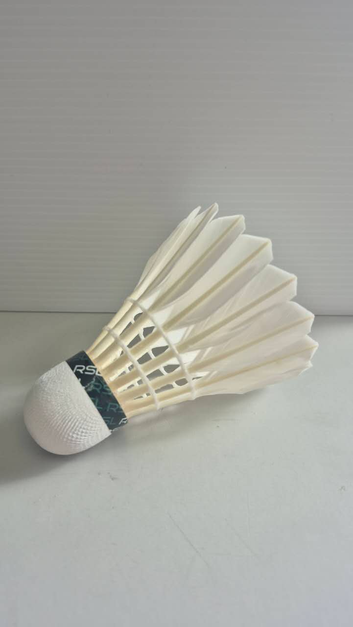 Image_20260116173339_7579_216